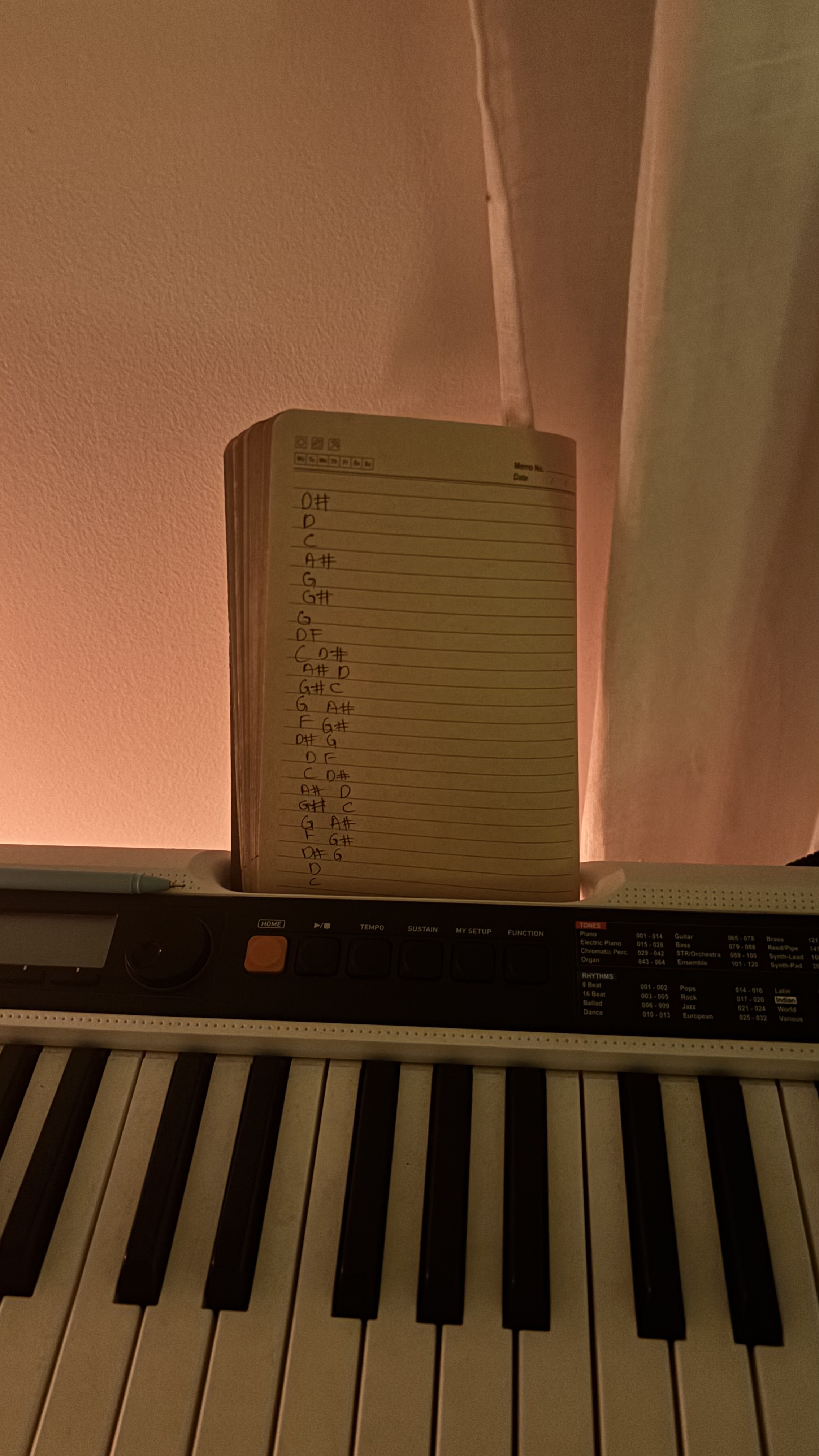 i am a really good pianist - guess the song in the sheet